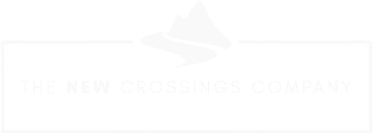The New Crossings Company Logo